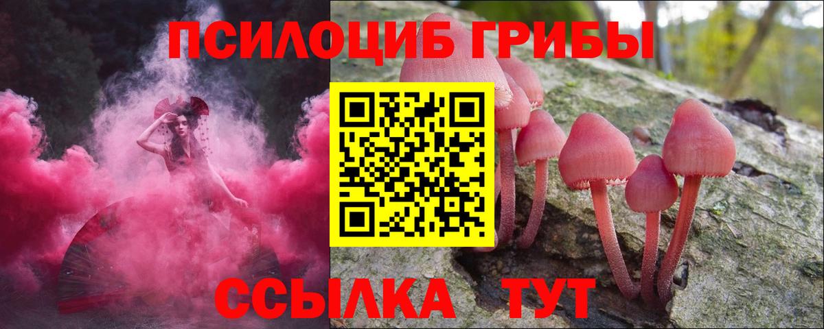 Галлюциногенные грибы Psilocybine cubensis Новочеркасск