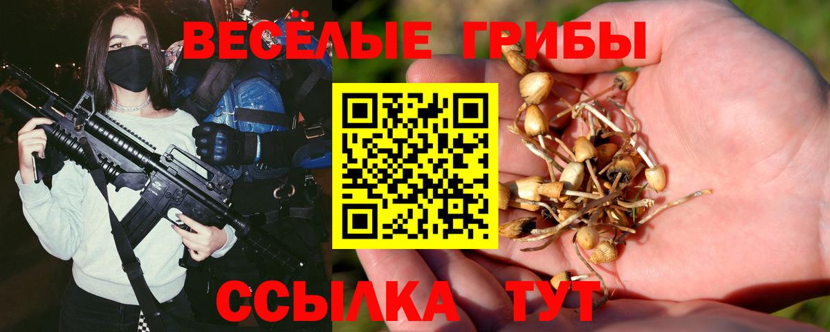 купить наркоту  Вход с VPN  Новочеркасск  Галлюциногенные грибы Cubensis  Галлюциногенные грибы мухоморы 